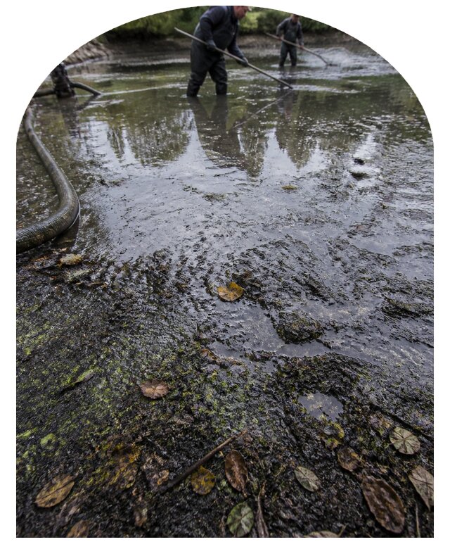 Очистка пруда в Великом Новгороде от ила мусора и водорослей с вывозом